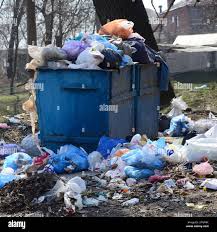 Best Yard Waste Removal  in Sabetha, KS