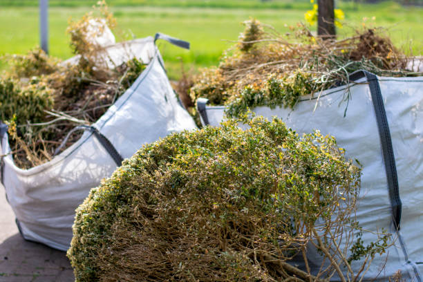 Best Hoarding Cleanup  in Sabetha, KS